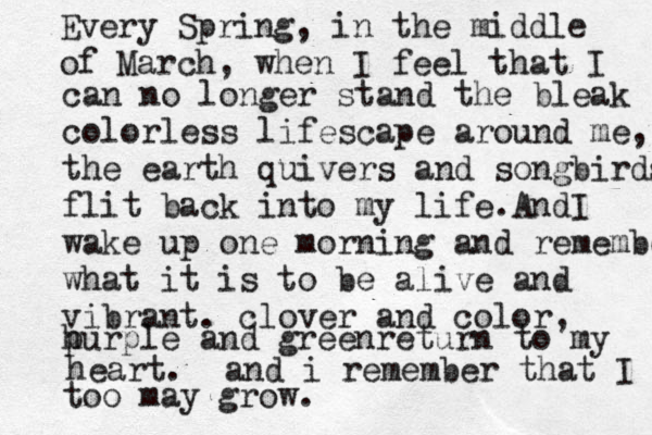 Every Spring, in the middle of March, when I feel that I can no longer stand the bleak colorless lifescape around me, the earth quivers and songbirds flit back into my life. AndI wake up one morning and remember what it is to be alive and vibrant. clover and color, purple and greenreturn to my h heart. and i remember that I too may grow. 