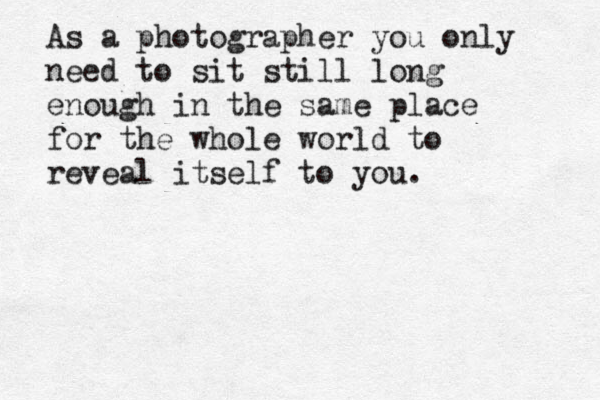 As a photographer you only need to sit still long enough in the same place for the whole world to reveal itself to you.