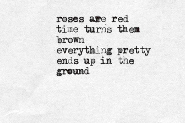 roses are red time turns them brown everything pretty ends up in the ground