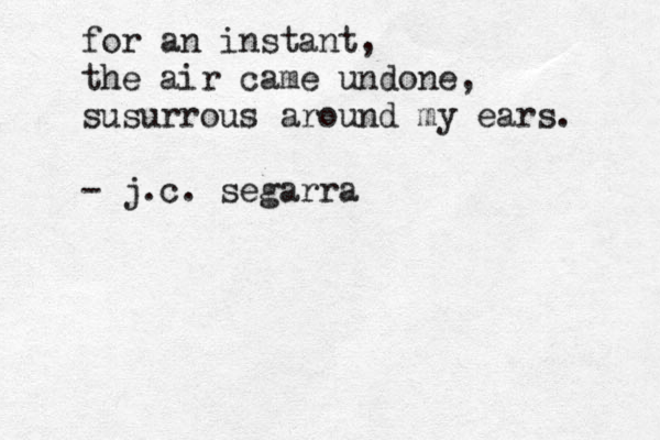 for an instant, the air came undone, susurrous around my ears. - j.c. segarra