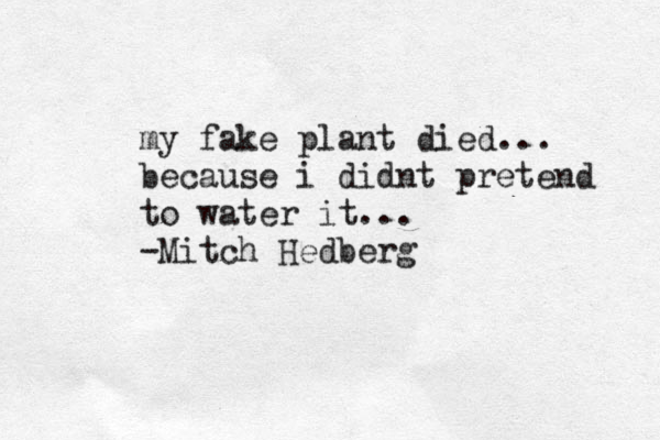 my fake plant died... because i didnt pretend to water it... -Mitch Hedberg