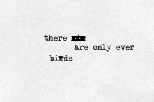 there ate rr cxx xxx x xxx xxx xx xx xx are only ever birds