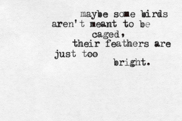 maybe some birds aren't meant to be caged their feathers are just too bright. , 