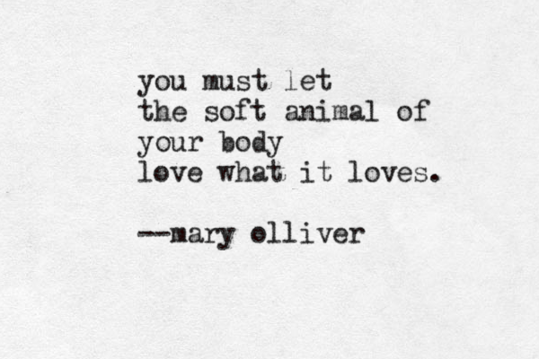 you must let the soft animal of your body love what it loves. --mary olliver