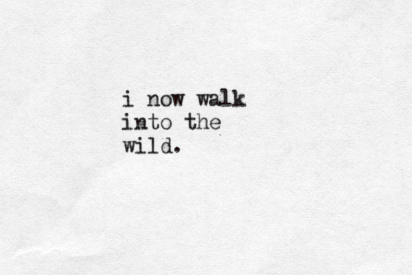 i now walk into the wild.