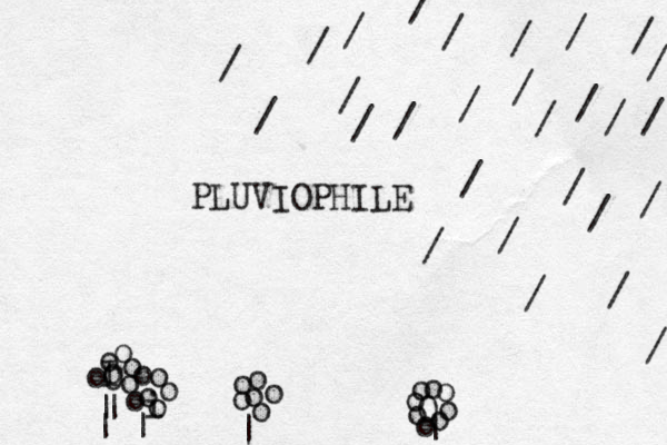 PLUVIOPHILE / / / / / / / / / / / / / / / / / / / / / / / / / / / / | o o o o o o | o i o o o o o o | | | I o O o o o o Oo o o o o o o o |