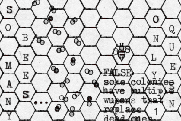 / / \__/ \__/ \__/ \__/ \__/ \ \__/ \__/ \__/ \__/ \__/ \__/ / \__/ \__/ \__/ \__/ \__/ \ \__/ \__/ \__/ \__/ \__/ \__/ / \__/ \__/ \__/ \__/ \__/ \ \__/ \__/ \__/ \__/ \__/ \__/ / \__/ \__/ \__/ \__/ \__/ \ \__/ \__/ \__/ \__/ \__/ \__/ / \__/ \__/ \__/ \__/ \__/ \ \__/ \__/ \__/ \__/ \__/ \__/ / \__/ \__/ \__/ \__/ \__/ \ \__/ \__/ \__/ \__/ \__/ \__/ / \__/ \__/ \__/ \__/ \__/ \ S O M A N Y B E E S ... O N L Y 1 Q U E E N " " o () v = 8 8 o o o o o o o o o o o o o o o o o o o o o o o o o o o o o o o o o o o o FALSE. some colonies have multiple wueens that replace dead ones