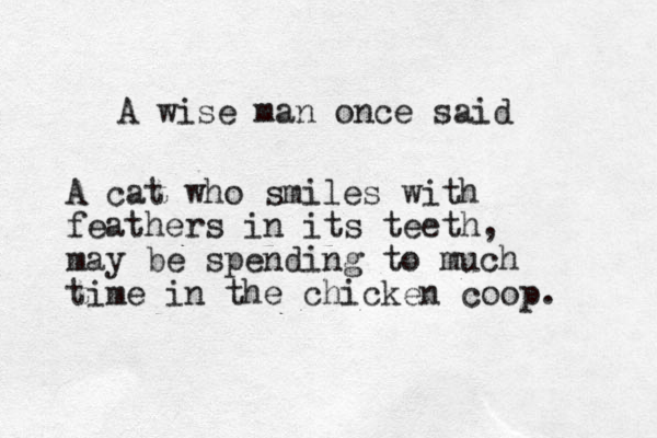 A wise man once said A cat who smiles with feathers in its teeth, may be spending to much time in the chicken coop. 