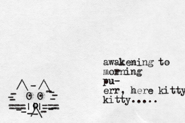 ===|||=== /\ O O . . /\ /\ - - - - - - - - - - - - - - - o o awakening to morning pu u- err, here kitty kitty..... 