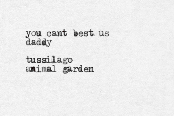 you cant best us daddy tussilago animal garden