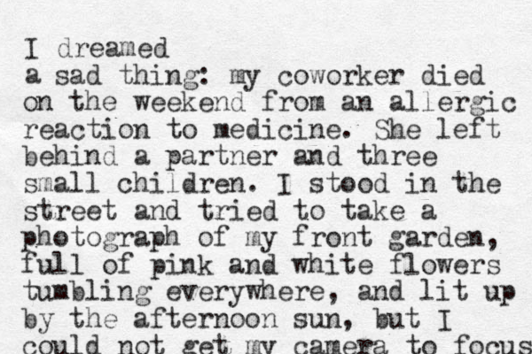 I dreamed a sad thing: my coworker died on the weekend from an allergic reaction to medicine. She left behind a partner and three small children. I stood in the street and tried to take a photograph of my front garden, full of pink and white flowers tumbling everywhere, and lit up by the afternoon sun, but I could not get my camera to focus 