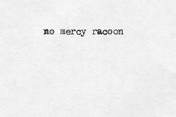 no mercy racoon