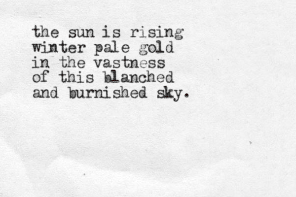 the sun is rising winter pale gold in the vastness of this blanched and burnished sky.