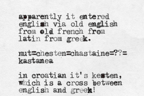 apparently it entered english via old english from old french from latin from greek. nut=chesten=chastaine=??= kastanea in croatian it's kesten, which is a cross between english and green k k! 