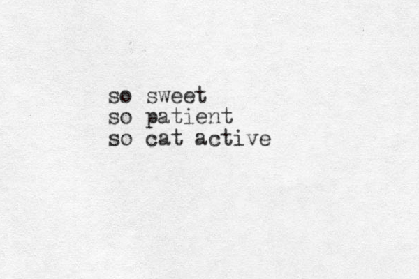 so sweet so patient so cat active