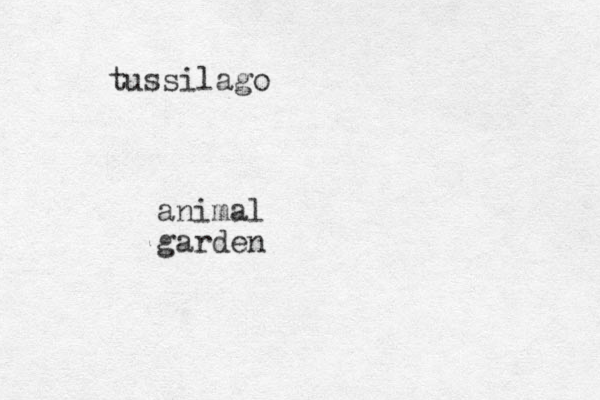tussilago animal garden
