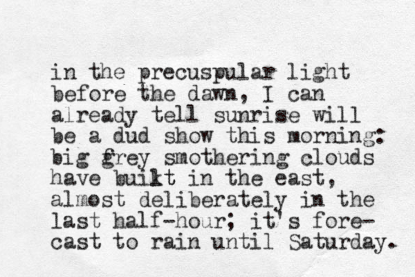 in the precuspular light before the dawn, I can already tell sunrise will be a dud show this morning: big frey g smothering clouds have buikt lt in the east , almost deliberately in the last half-hour; it's fore- cast to rain until Saturday. 