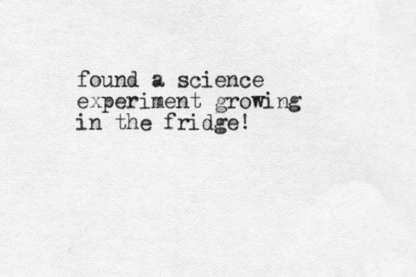 found a science experiment growing in the fridge!