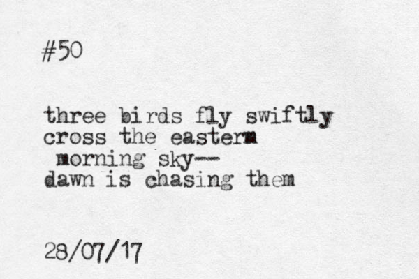 #50 three birds fly swiftly cross the easterm n morning sky-- dawn is chasing them 28/07/17