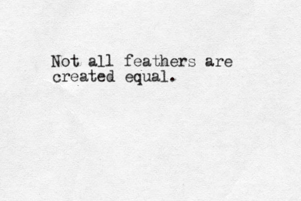 Not all feathers are created equal.