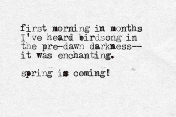 first morning in months I've heard birdsong in the pre-dawn darkness-- it was enchanting. spring is coming!