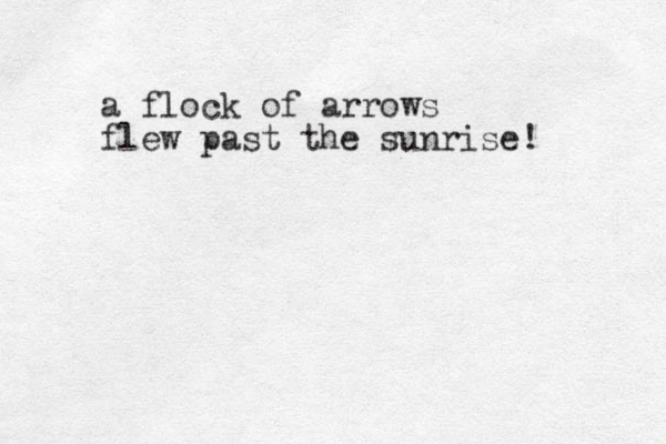 a flock of arrows flew past the sunrise! 
