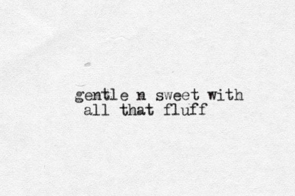 gentle n sweet with all that fluff