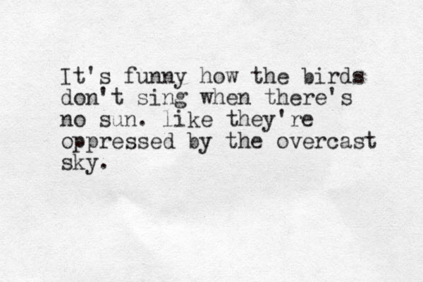 It's funny how the birds don't sing when there's no sun. like they're oppressed by the overcast sky.