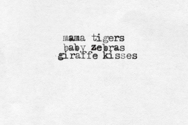 mama tigers baby zebras z z giraffe kisses 