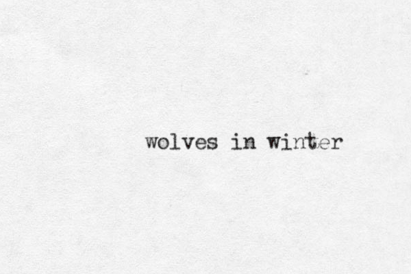 wolves in winter