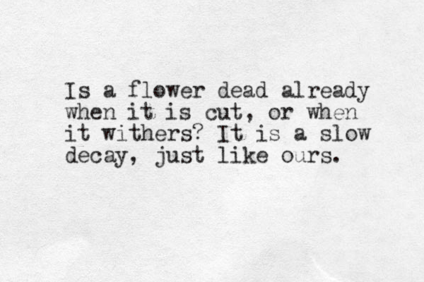 Is a flower dead already when it is cut, or when it withers? It is a slow decay, just like ours.