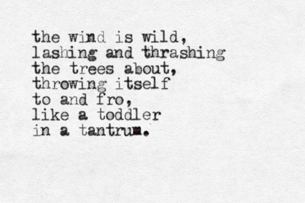 the wind is wild, lashing and thrashing the trees about, throwing itself to and fro, like a toddler in a tantrum.