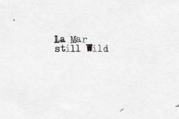 l La Mar still Wild