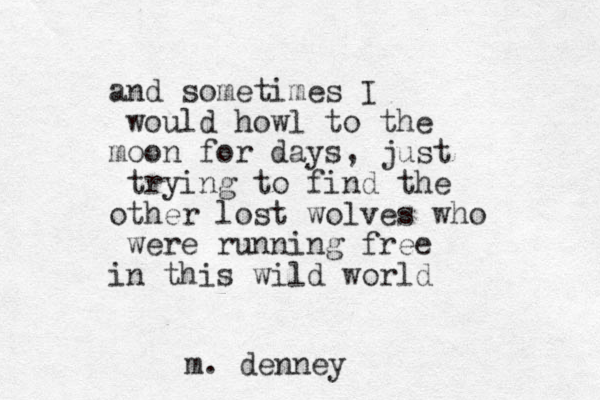 and sometimes I would howl to the moon for days, just trying to find the other lost wolves who were running free in this wild world m. denney