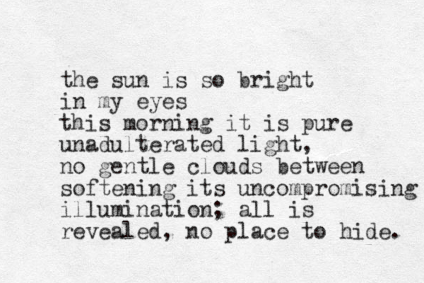 the sun is so bright in my eyes this morning it is pure unadulterated light, no gentle clouds between softening its uncompromising illumination; all is revealed, no place to hide. 