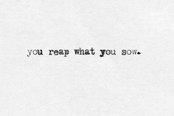 you reap what you sow. 