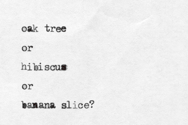 oak tree or hibiscus or banana slice?