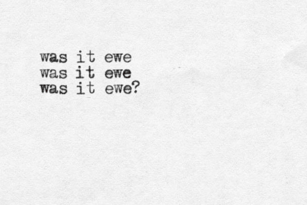 was it ewe was it ewe was it ewe?