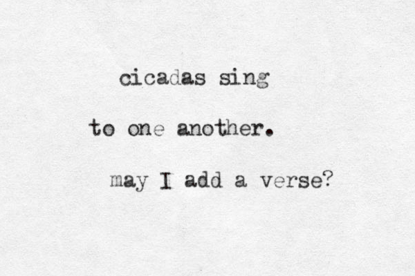 cicadas sing to one another. may I add a verse? 