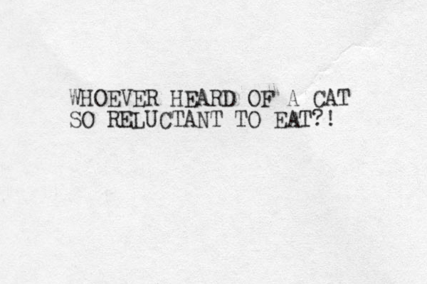 WHOEVER HEARD OF A CAT SO RELUCTANT TO EAT?! 