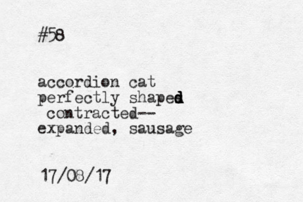 #58 accordion cat perfectly shapes d d d d contracted-- expanded, sausage 17/08/17