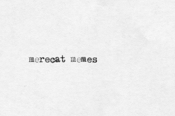merecat memes