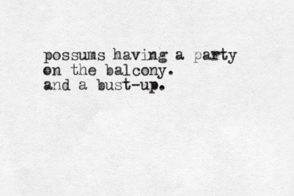 possums having a party on the balcony. and a bust-up. 