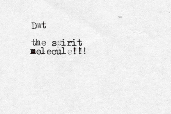 Dmt the spirit molecule!!!