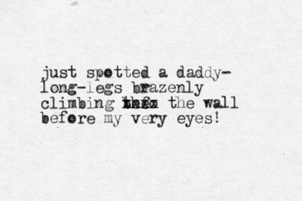 just spotted a daddy- long-legs brazenly climbing befo the xxxx the wall before my very eyes!