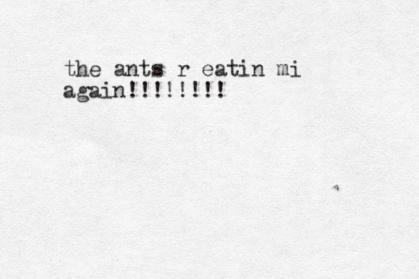 the ants r eatin mi again!!!!!!!!