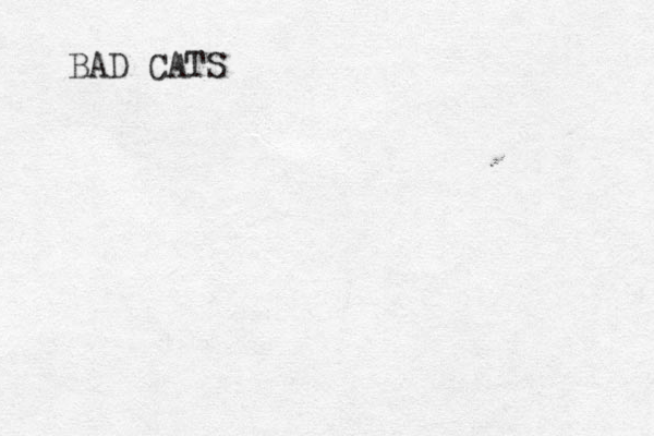 BAD CATS