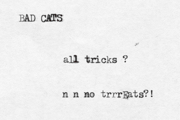BAD CATS all tricks ? n n no trrrEats?!