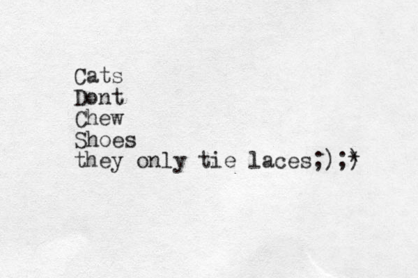 Cats Dont Chew Shoes they only tie laces;);) * 
