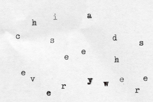 c h i a s e e d s e v e r y w h e r e 